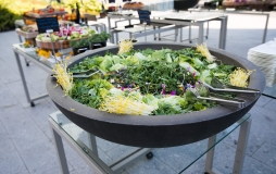 Giant bowl of beautiful green salad made with fresh ingredients